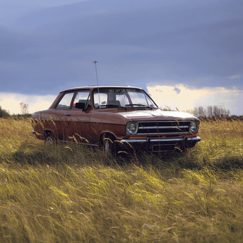 Celebrating 50 years of Checkbook